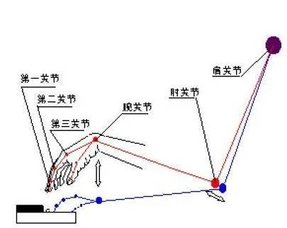 手把手,教你,弹奏,钢琴,的,基本,手型,学习,各类,乐器, . 手把手教你弹奏钢琴的基本手型